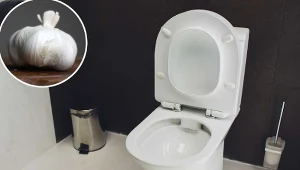 Weź z kuchni i wrzuć wieczorem do toalety. Rano będzie wolna od kamienia i lśniąca