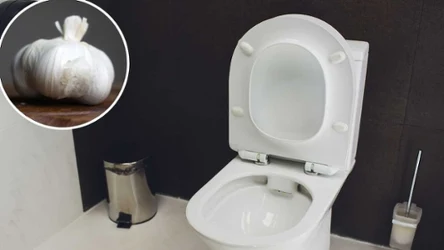 Jak wyczyścić toaletę domowym sposobem?