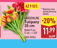 Bukiet tulipanów Gardenline