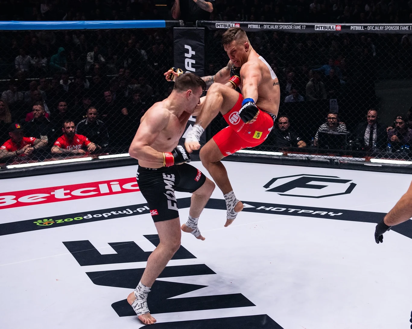 FAME MMA: Wiewiór vs Alan Kwieciński FAME MMA: Wiewiór vs Alan Kwieciński