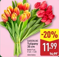 Bukiet tulipanów Gardenline