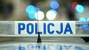 Polska Policja