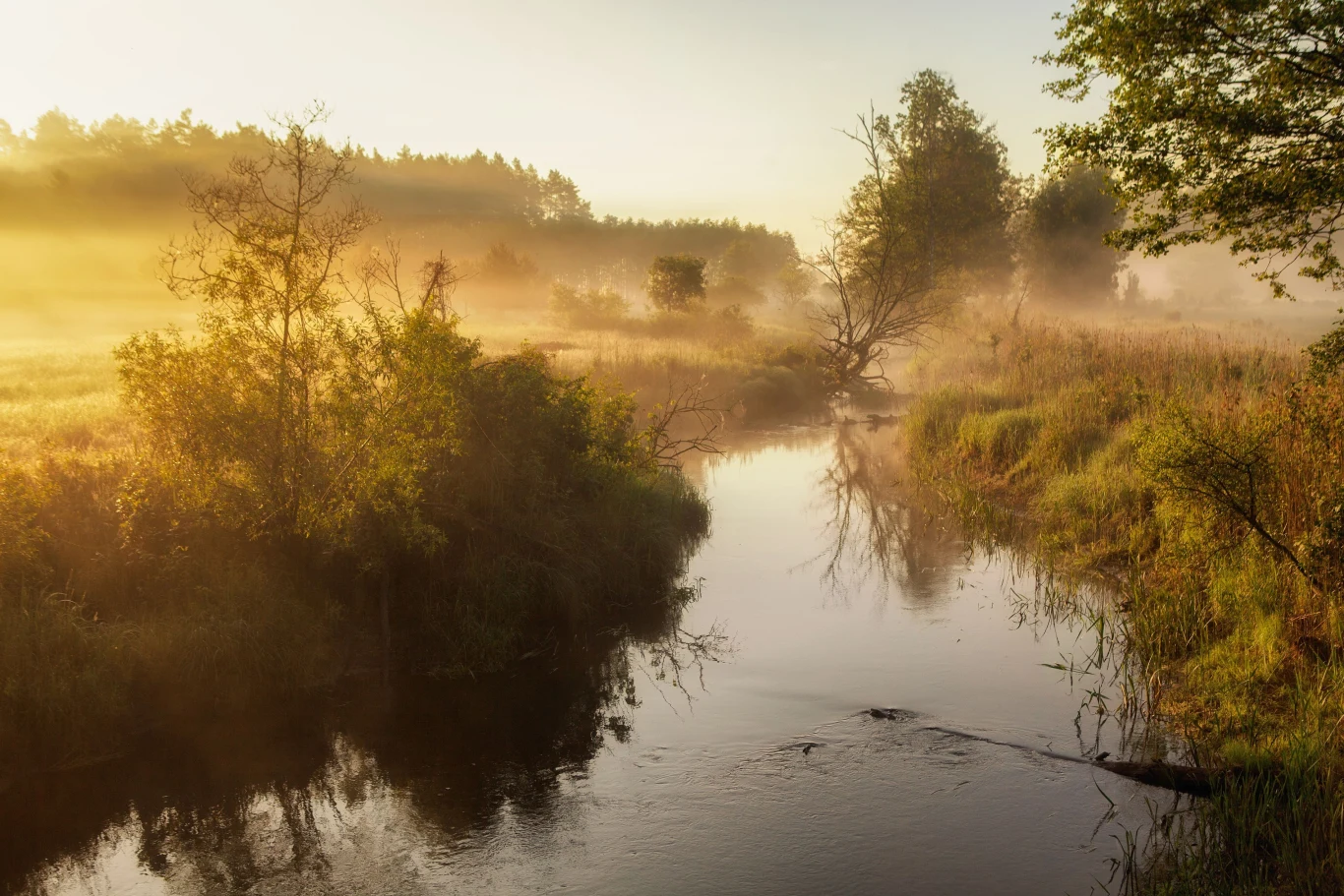 Białowieski Park Narodowy 