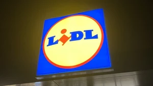 Lidl szuka do pracy 250 osób. Do wypłaty dają samochód służbowy.