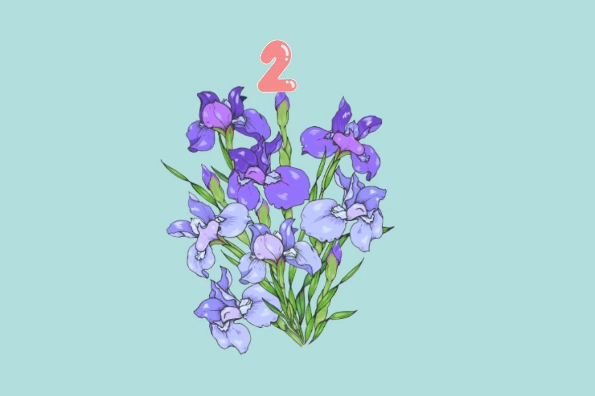 Irysy symbolizują inspirację, lojalność i wewnętrzną siłę Irysy symbolizują inspirację, lojalność i wewnętrzną siłę