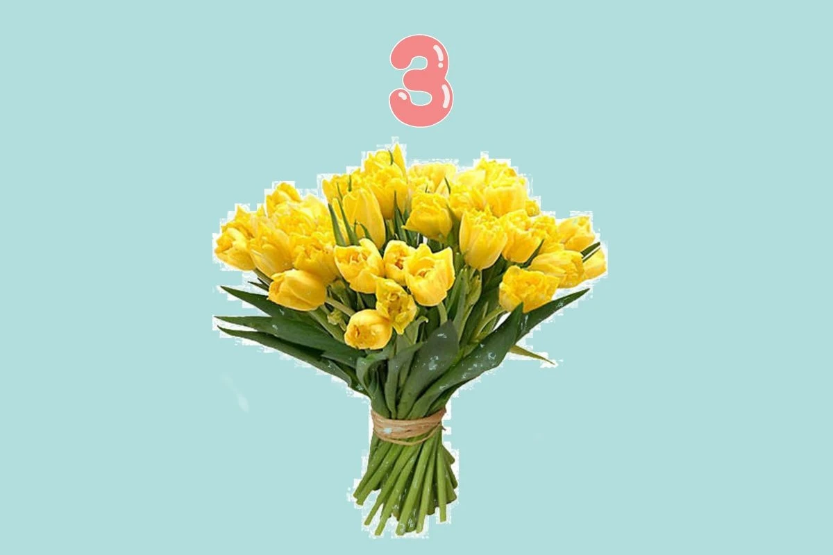 Żółte tulipany to kwiaty światła, radości i nowej nadziei Żółte tulipany to kwiaty światła, radości i nowej nadziei