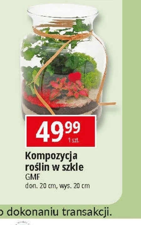 Kompozycja roślinna