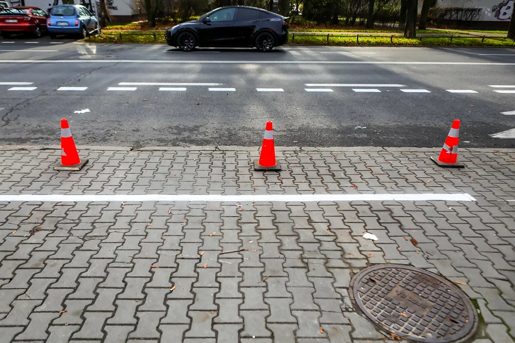 Parkingowy szeryf blokuje miejsca. Co na to straż miejska i policja? /Fot. ilustracyjna