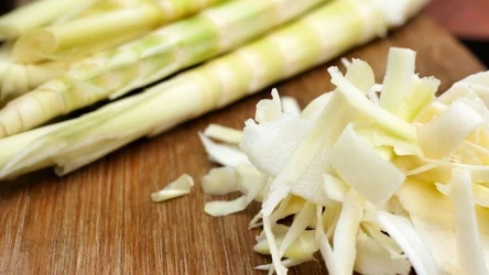 Pędy bambusa mogą pozytywnie wpłynąć na nasze zdrowie 