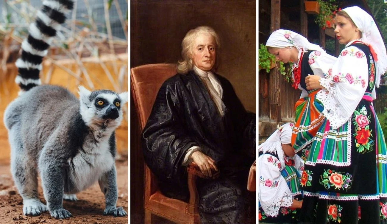 QUIZ sprawdzający pamięć wzrokową?/Domena publiczna/123RF/PICSEL QUIZ sprawdzający pamięć wzrokową?/Domena publiczna/123RF/PICSEL