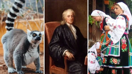 QUIZ sprawdzający pamięć wzrokową?/Domena publiczna/123RF/PICSEL