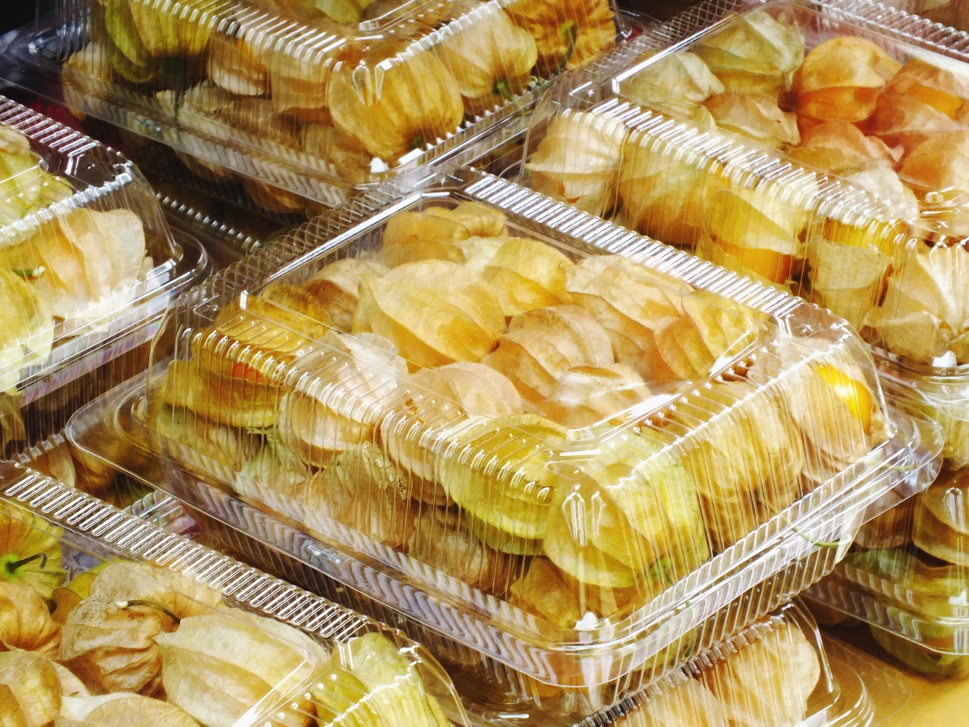 Tego typu pojemniki idealnie sprawdzą się do zrobienia miniszklarenki