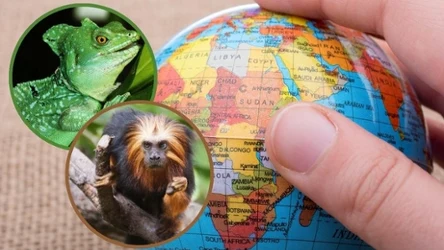 Ile punktów zdobyłeś? 