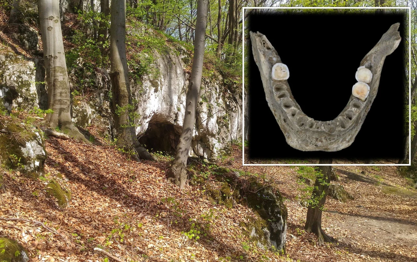 Jaskinia Maszycka skrywała brutalne tajemnice. Była domem kanibali Jaskinia Maszycka skrywała brutalne tajemnice. Była domem kanibali