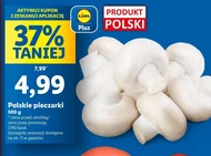 Pieczarki Polski