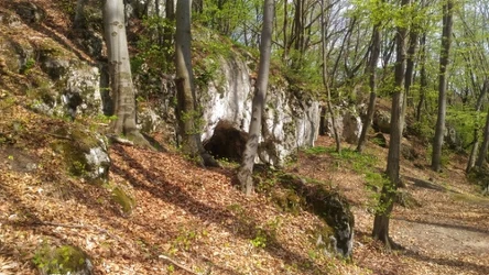 Tajemnicza jaskinia w Małopolsce to gratka dla polskich archeologów. Nowe badania powoli odkrywają jej tajemnice