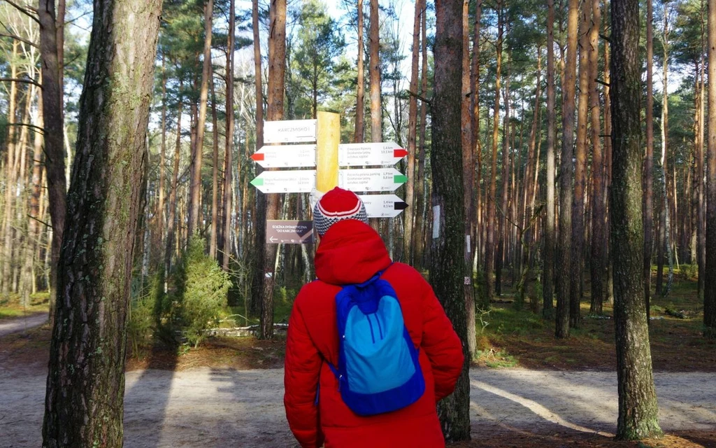 Kampinoski Park Narodowy przyciąga turystów nawet zimą