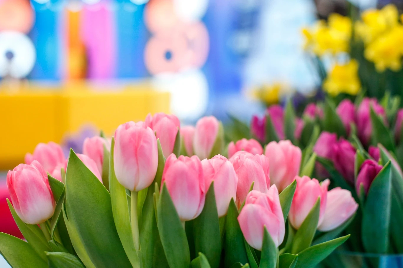 Udekoruj dom kwiatami