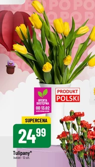 Bukiet tulipanów Tulipany