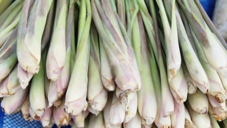 Trawa cytrynowa to aromatyczny dodatek do dań.