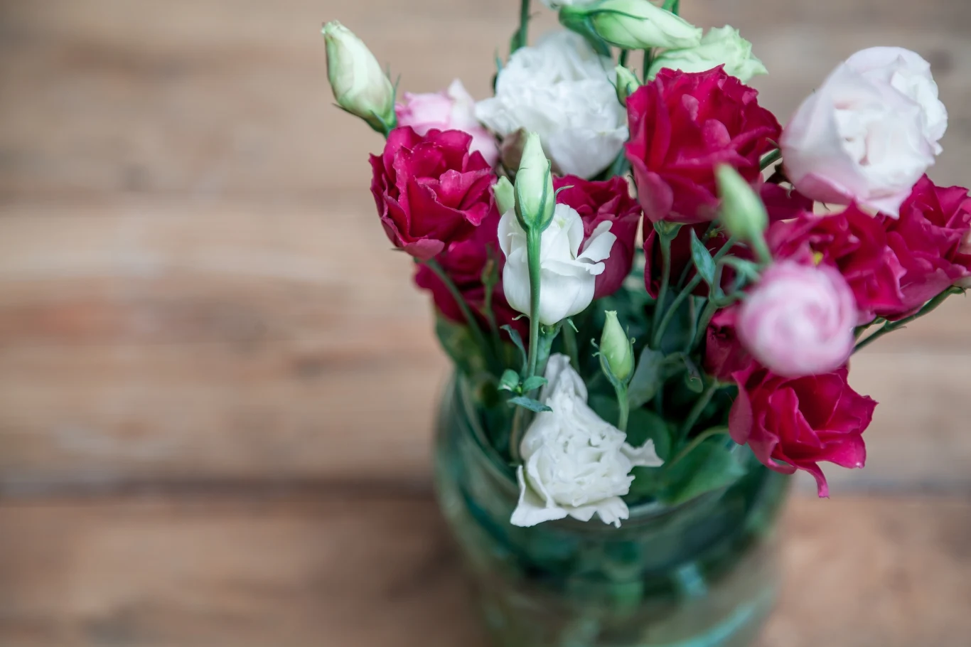 Przy odpowiedniej pielęgnacji eustoma postoi w wazonie nawet dwa tygodnie. 