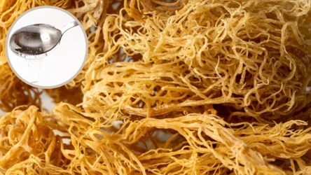 Wystarczy, że będziesz jeść 1 łyżeczkę wyciągu z mchu morskiego dziennie. Szybko zauważysz pozytywne zmiany w samopoczuciu i wyglądzie