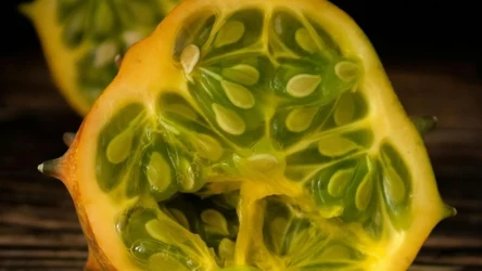 Kiwano nazywane jest rogatym melonem lub ogórkiem kolczastym