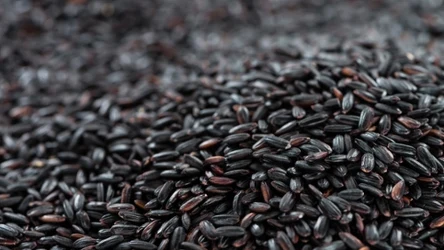 Czarny ryż to ważny, choć pomijany składnik w diecie.