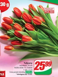 Bukiet tulipanów Tulipany