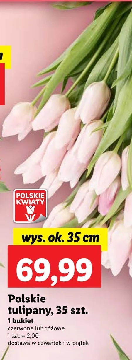 Bukiet tulipanów Polskie kwiaty