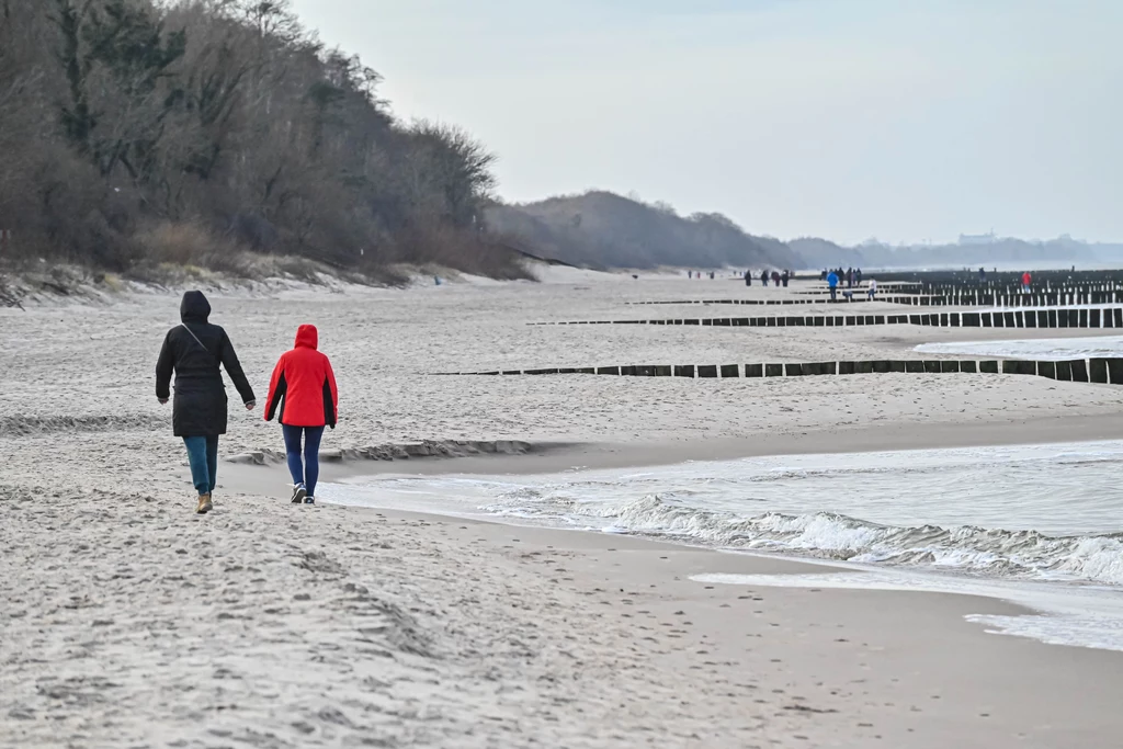 Nad Bałtykiem jest coraz mniej śmieci - wynika z najnowszych danych