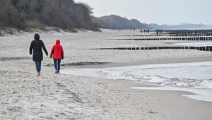 Ogromna zmiana na plażach Europy. Bałtyk na czele, daje przykład innym