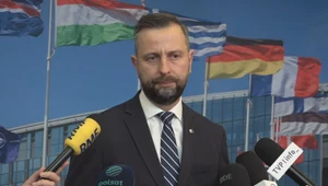 Władysław Kosiniak-Kamysz o planie szybkiego reagowania: Został przyjęty przez NATO