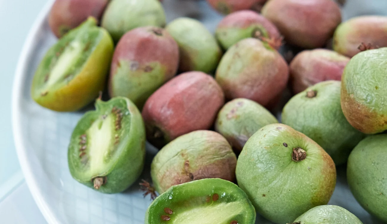 Minikiwi to niewielkie słodkie owoce o szerokim działaniu. Ich właściwości sprawiają, że warto włączyć je do diety Minikiwi to niewielkie słodkie owoce o szerokim działaniu. Ich właściwości sprawiają, że warto włączyć je do diety