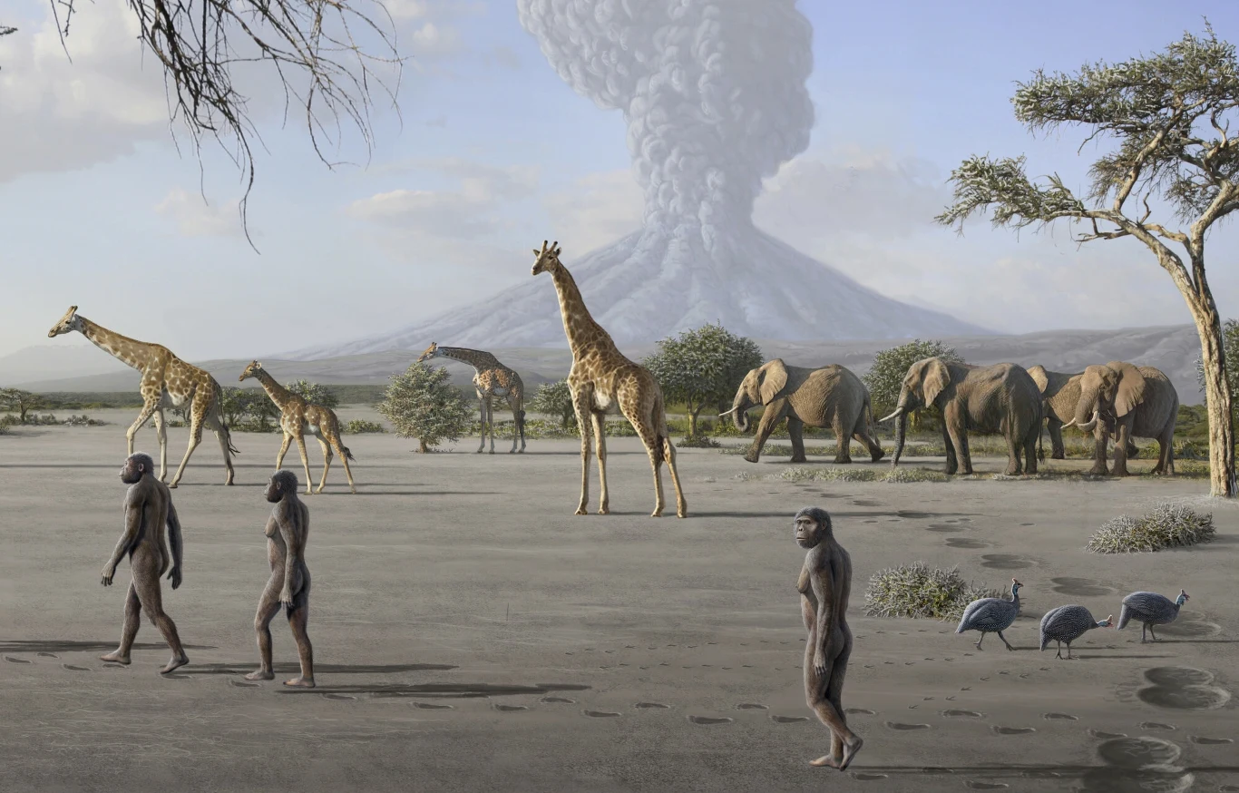 Australopiteki żyły wśród wielu zwierząt afrykańskiej sawanny, ale nie polowały