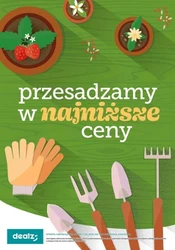 Przesadzamy w najniższe ceny! - Dealz