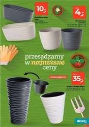 Przesadzamy w najniższe ceny! - Dealz