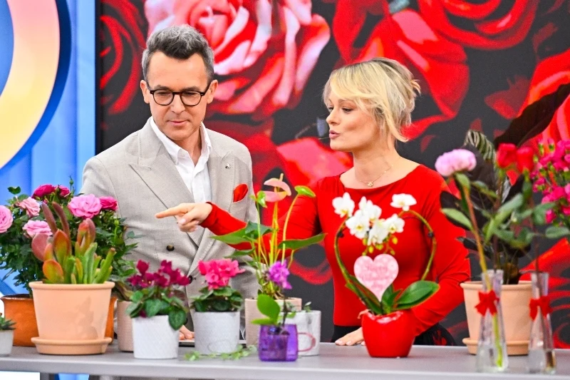 Kwiaty doniczkowe na walentynki