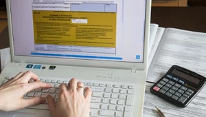 PIT-y 2025 wystartowały. Zeznania za 2024 r. czekają na Polaków w usłudze "Twój e-PIT"
