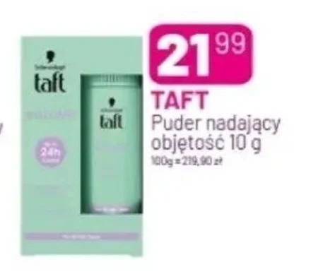 Taft Volume Puder do włosów 10 g