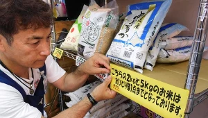 Japoński rząd uwolni zapasy ryżu. Przyczyną jest wzrost cen, największy w historii