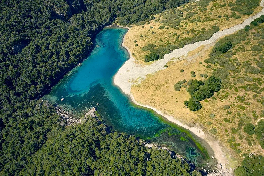 Jezioro Rotomairewhenua w Nowej Zelandii uznawane jest za najczystsze na ziemi