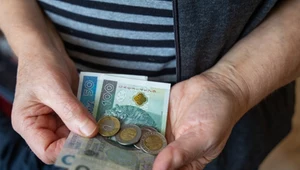 Czy można płacić uszkodzonym banknotem? Przepisy mówią jasno