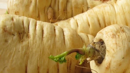 To warzywo świetnie sprawdzi się na redukcji