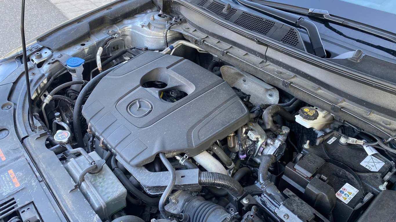 Dwulitrowy silnik benzynowy nie jest mistrzem osiągów, ale ma bardzo wysoką trwałość.