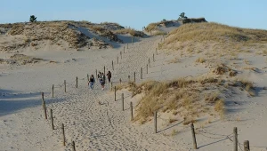 Ruchoma wydma i mało znane oblicze wybrzeża. Dobry plan na wycieczkę nawet zimą