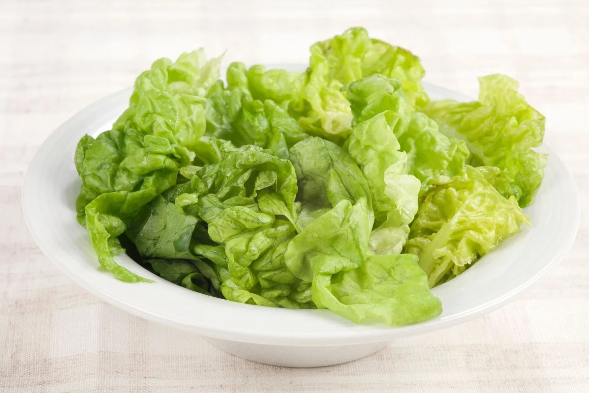 Sałata zawiera w sobie mnóstwo witamin Sałata zawiera w sobie mnóstwo witamin