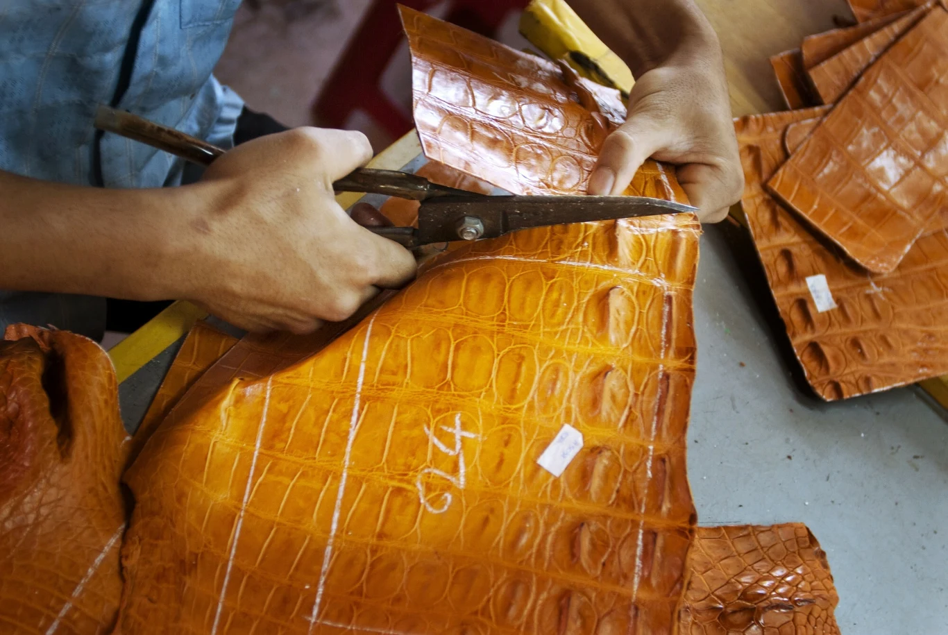 Skóra krokodyla stanowi mniej niż 1 proc. światowej produkcji skór i jest uważana za towar luksusowy. Jest rzadka w porównaniu do innych skór