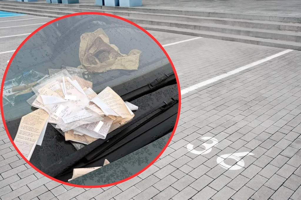 Sensacja na parkingu w Opolu. Ludzie nie szczędzili komentarzy