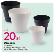 Doniczka